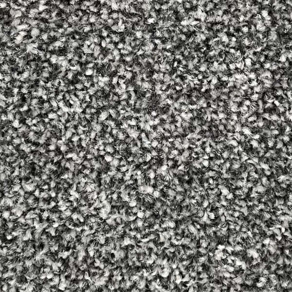 Kingston Carpet