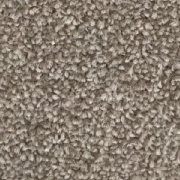 New Kingston Carpet