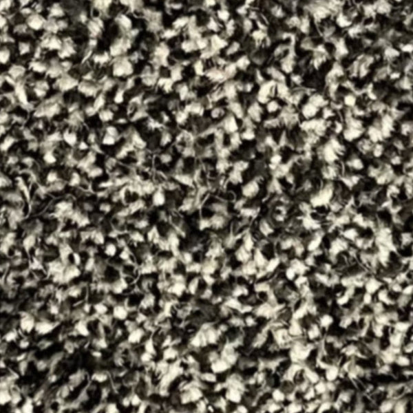 New Kingston Carpet