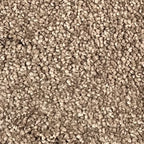 Opulence Carpet