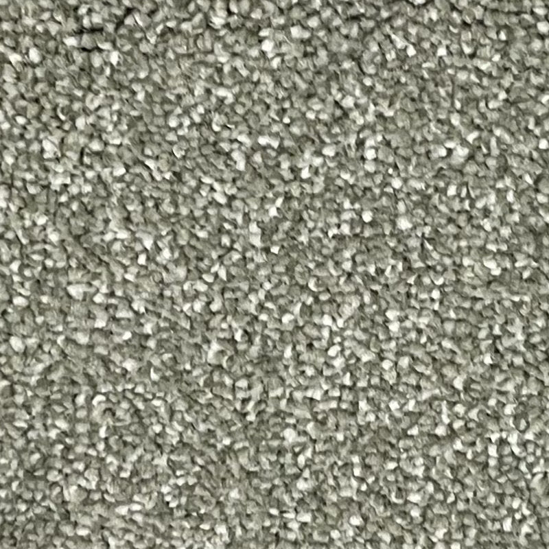 Classic Charm Carpet