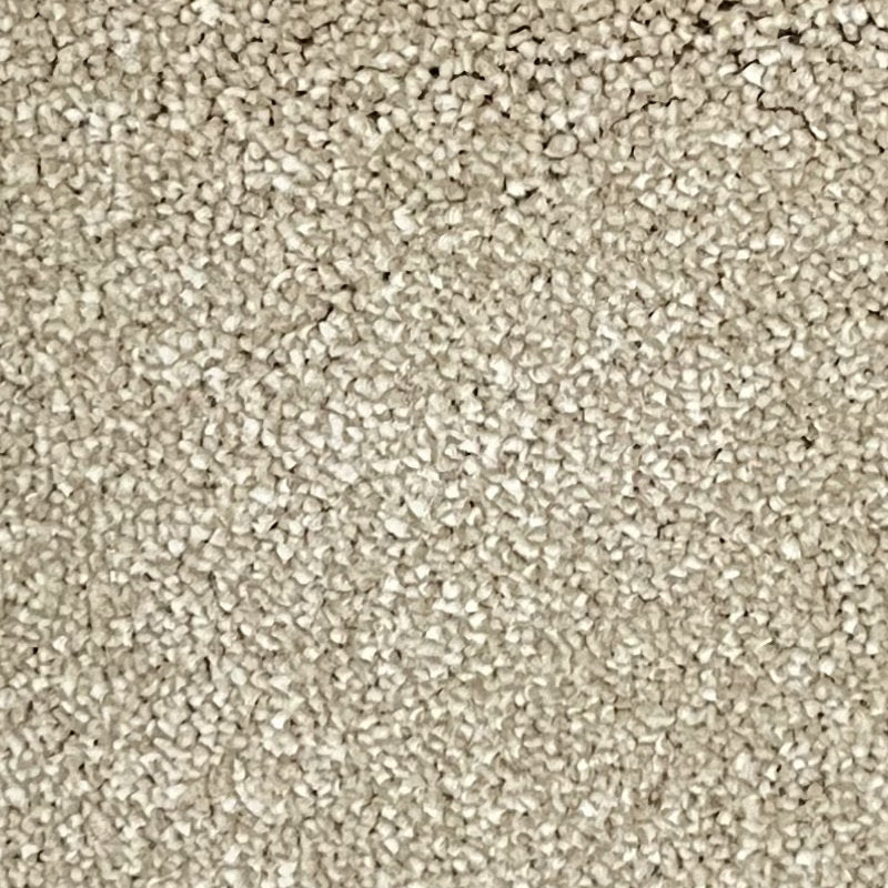 Classic Charm Carpet