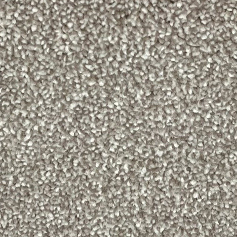 Classic Charm Carpet
