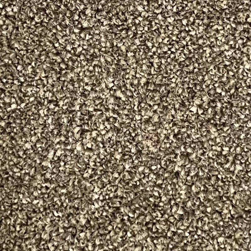 Classic Charm Carpet