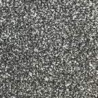 Classic Charm Carpet