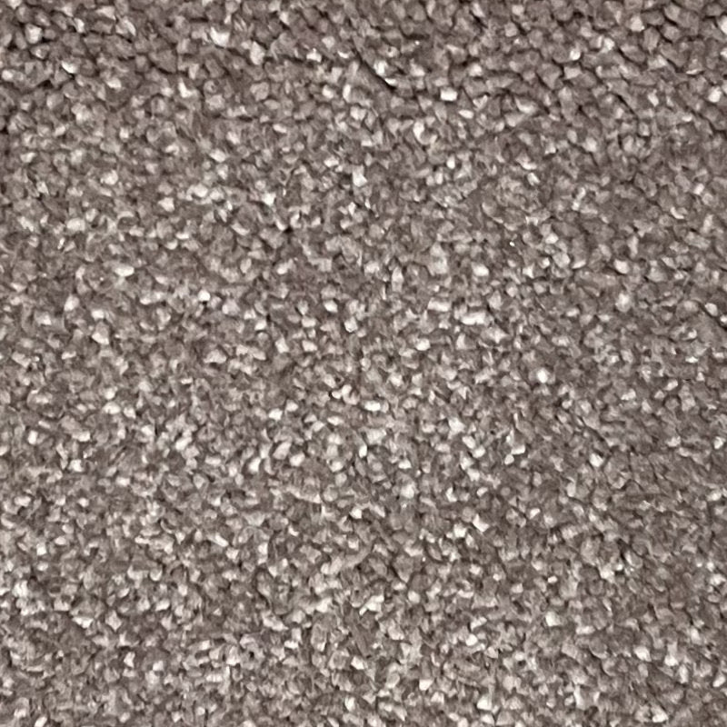 Classic Charm Carpet