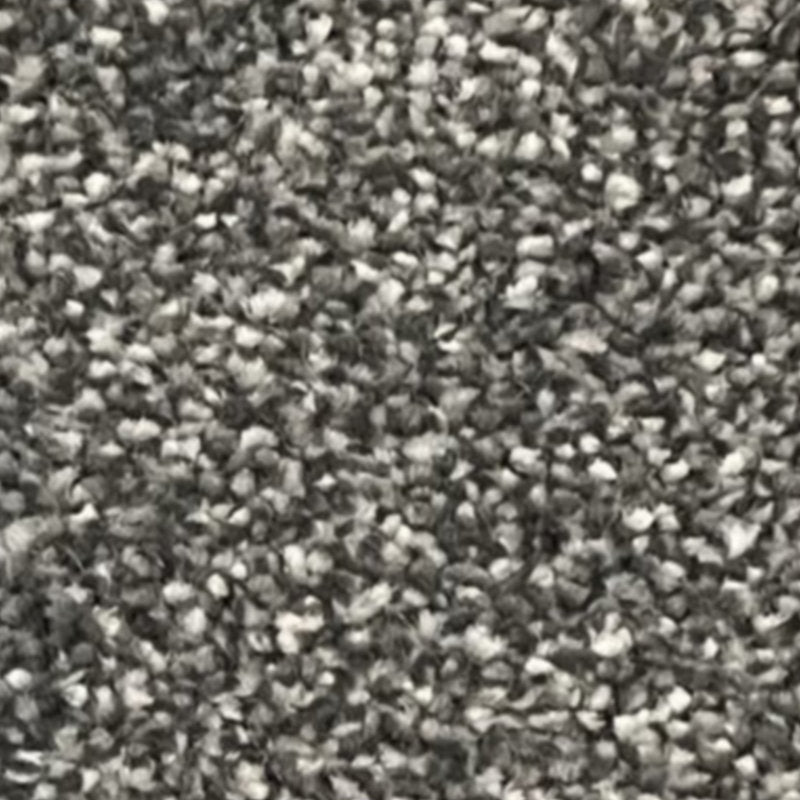 Alcantra Carpet