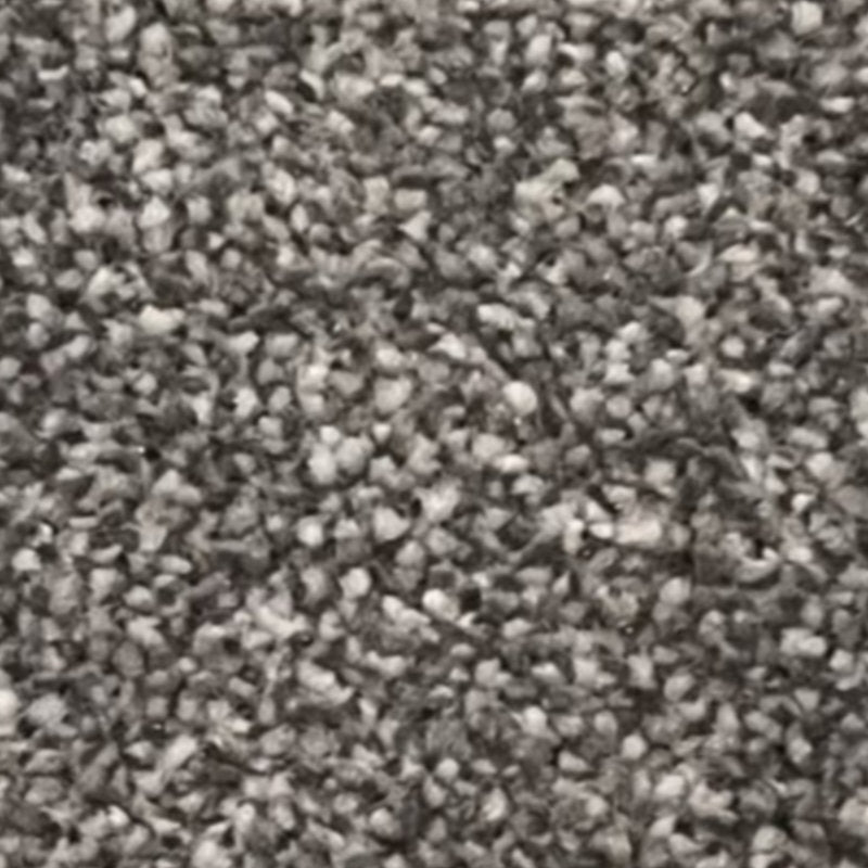 Alcantra Carpet