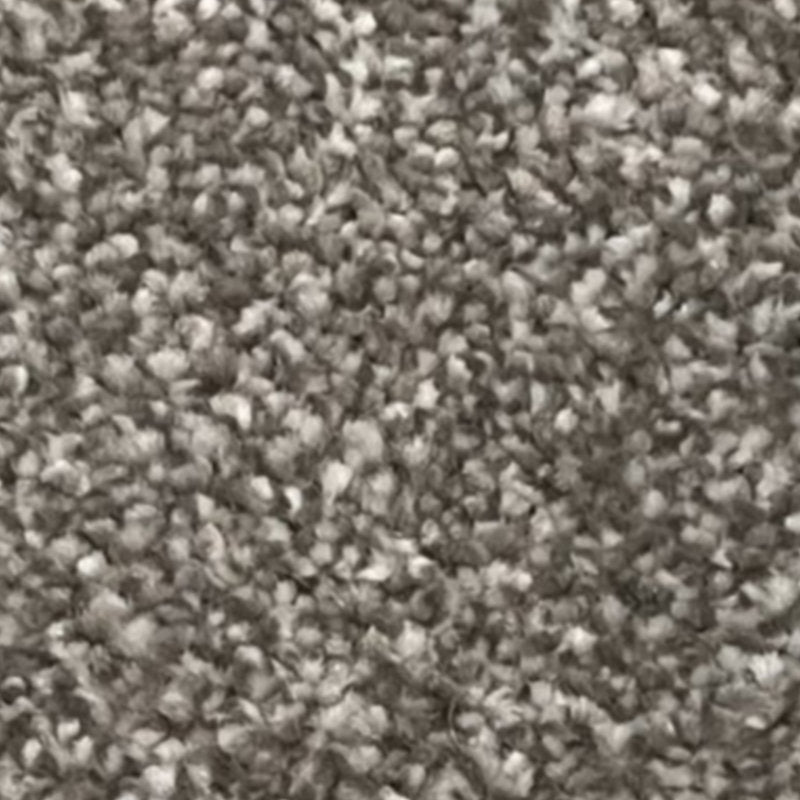 Alcantra Carpet