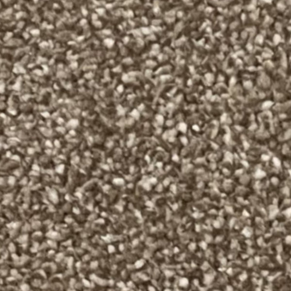 Alcantra Carpet – by Floors & Carpets