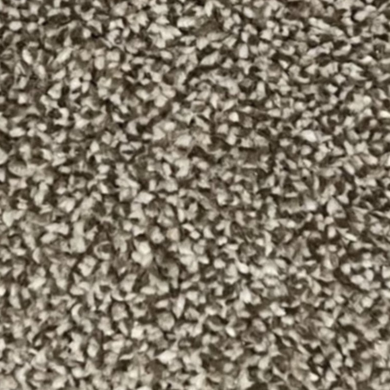 Alcantra Carpet