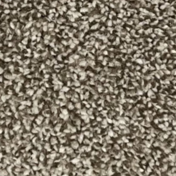 Alcantra Carpet – by Floors & Carpets