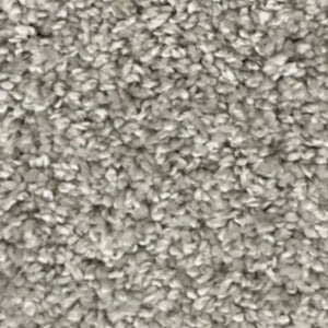 Gold Whisper Carpet – by Floors & Carpets