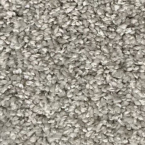 Gold Whisper Carpet – by Floors & Carpets