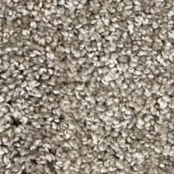 Gold Whisper Carpet – by Floors & Carpets