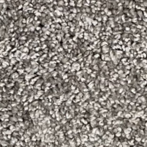 Gold Whisper Carpet – by Floors & Carpets