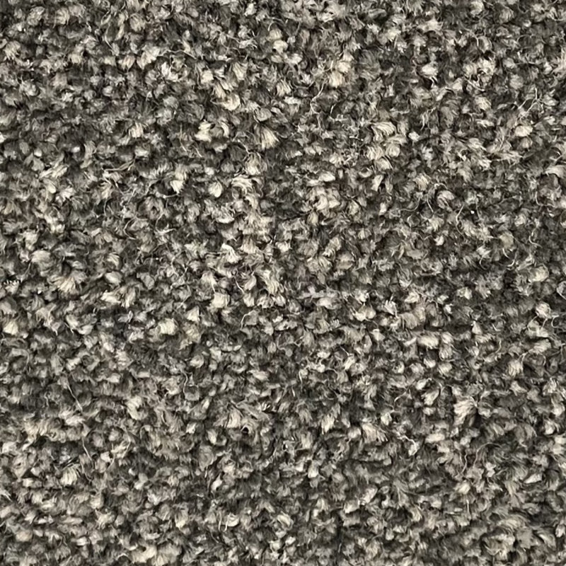 Kingston Carpet