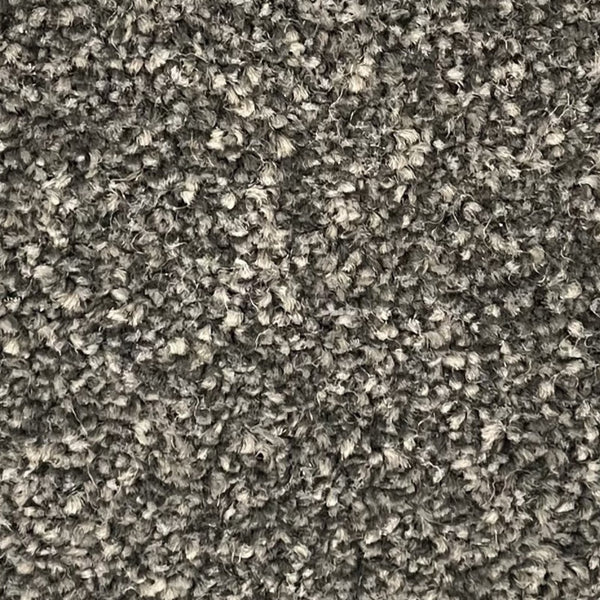 Kingston Carpet - by Floors & Carpets