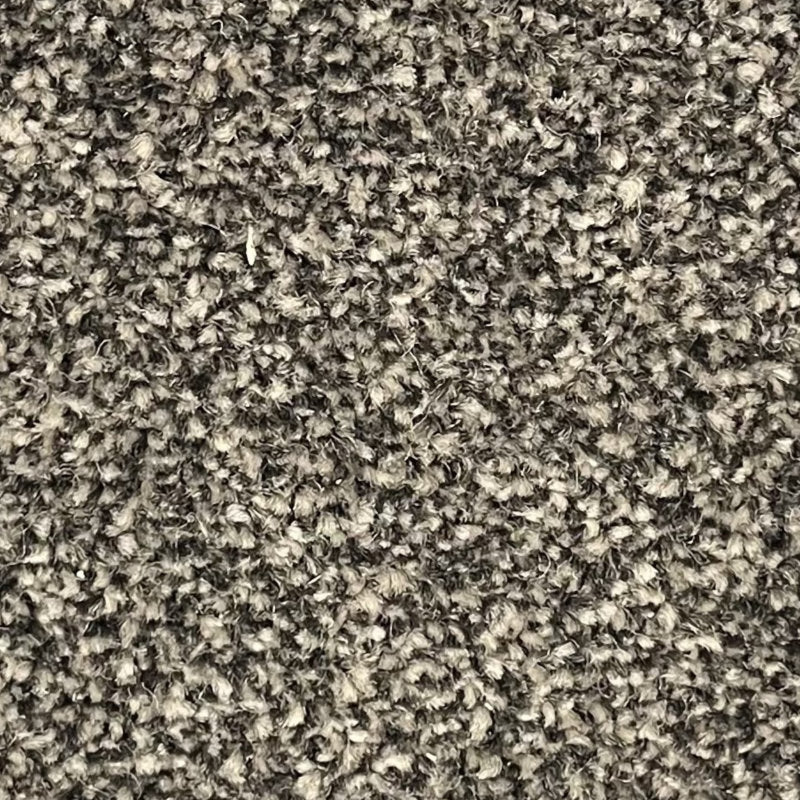 Kingston Carpet
