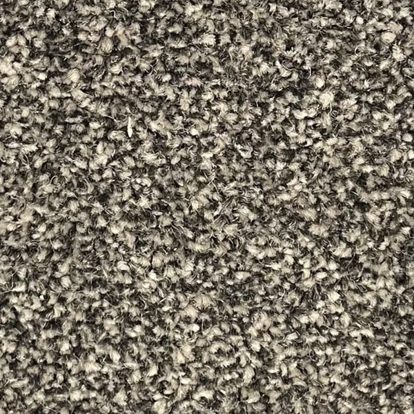 Kingston Carpet - by Floors & Carpets