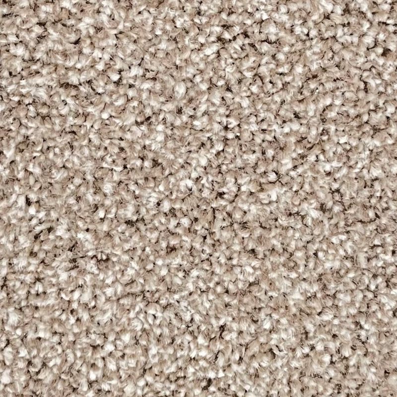 Kingston Carpet