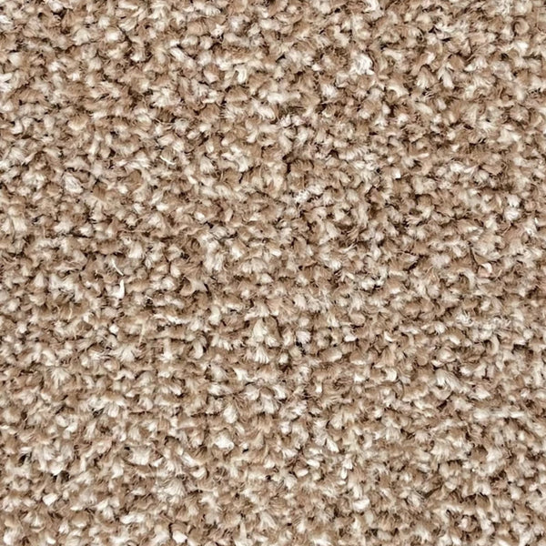 Kingston Carpet - by Floors & Carpets