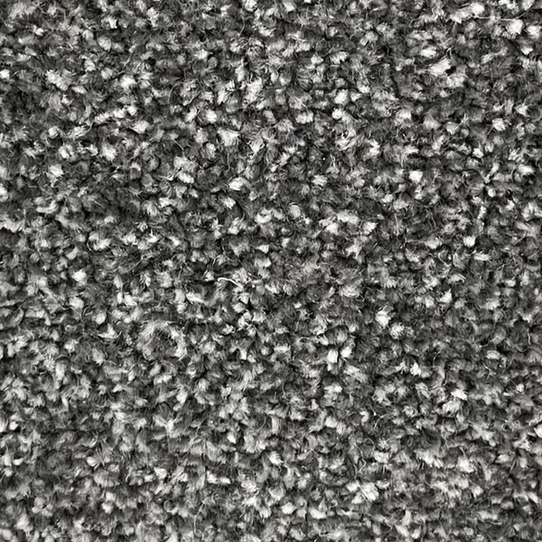 Kingston Carpet - by Floors & Carpets