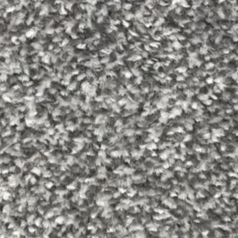 New Kingston Carpet – by Floors & Carpets