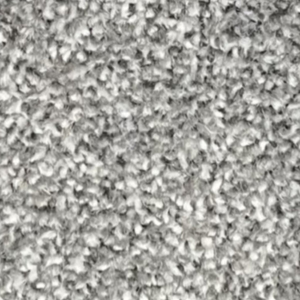New Kingston Carpet – by Floors & Carpets