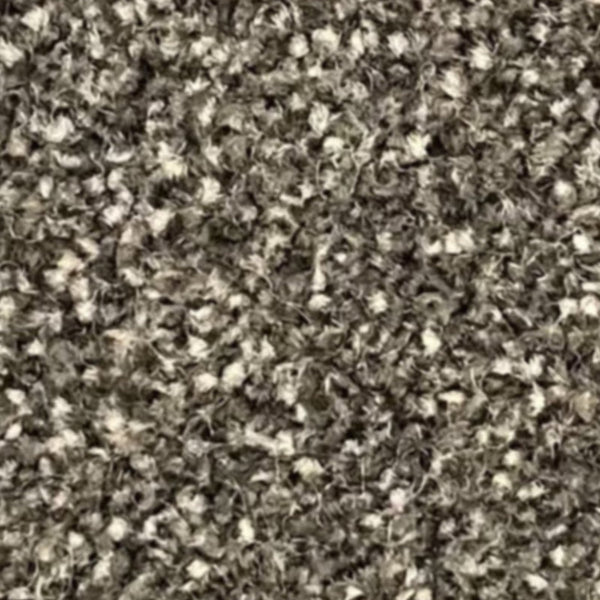 New Kingston Carpet – by Floors & Carpets