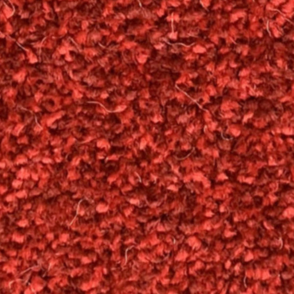 New Kingston Carpet – by Floors & Carpets