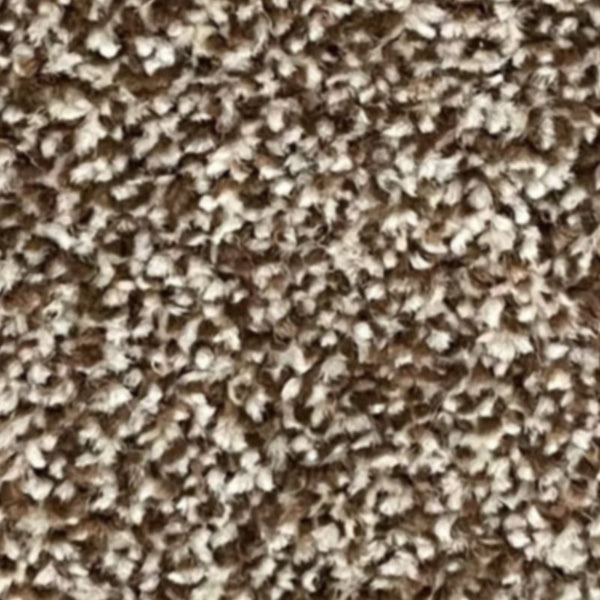 New Kingston Carpet – by Floors & Carpets