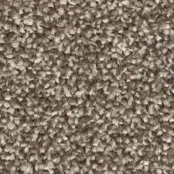 New Kingston Carpet – by Floors & Carpets