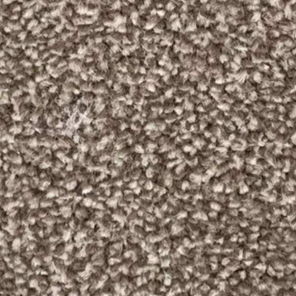 Supreme Luxury Carpet – by Floors & Carpets
