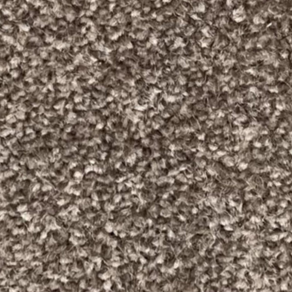 Supreme Luxury Carpet – by Floors & Carpets