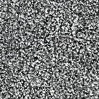 Supreme Luxury Carpet