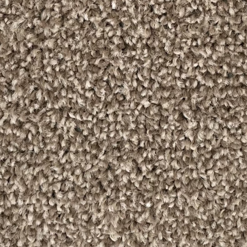 Sweet Velvetine Carpet