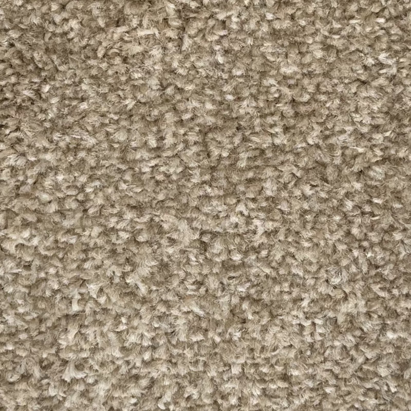 Amos Carpet