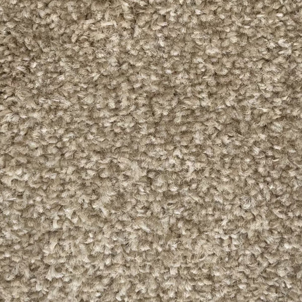 Amos Carpet – by Floors & Carpets