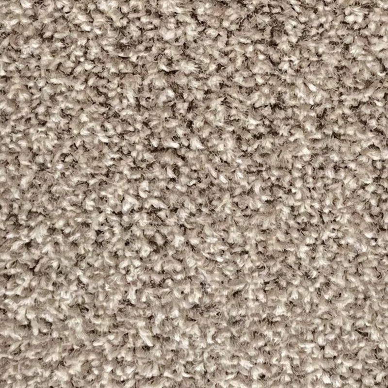 Amos Carpet