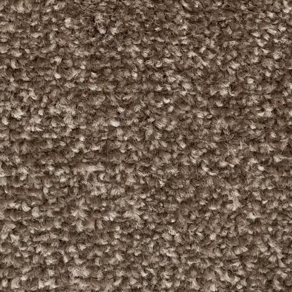 Amos Carpet – by Floors & Carpets