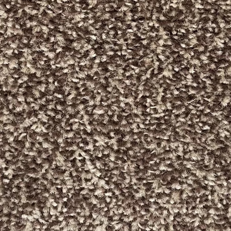 Amos Carpet