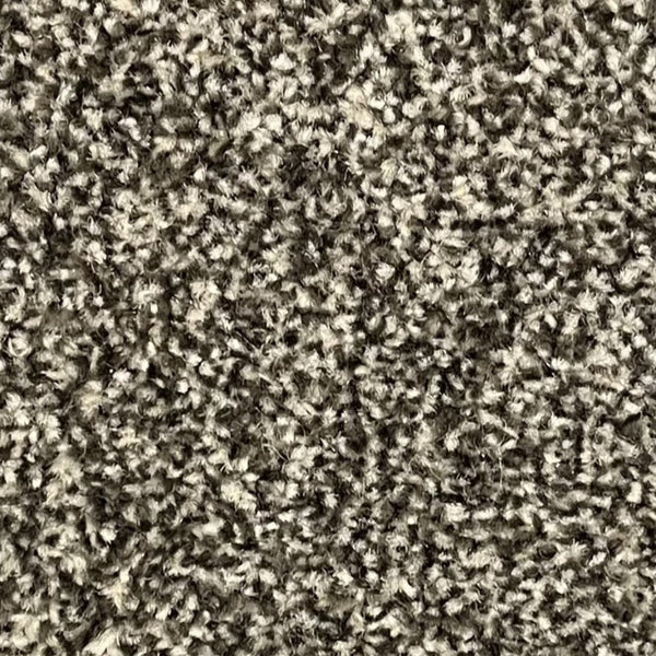 Amos Carpet – by Floors & Carpets