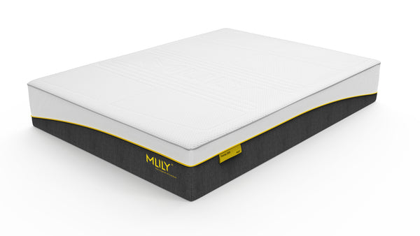 Premier 2000 – Mattress by Mlily